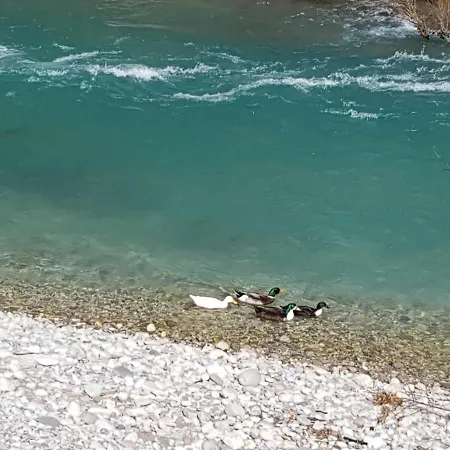 Captain S House * Konjic